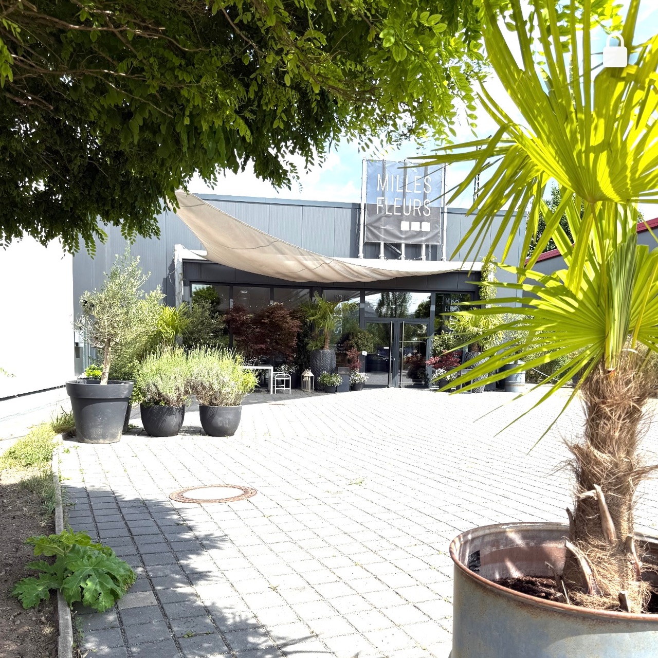 Location Sued33 Milles Fleurs